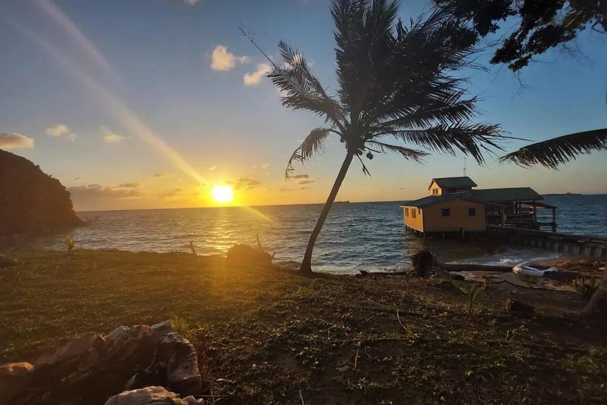 Guanaja Backpackers Hostel Eksteriør billede