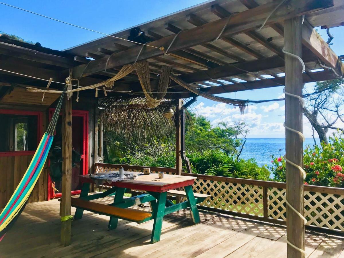 Guanaja Backpackers Hostel Eksteriør billede